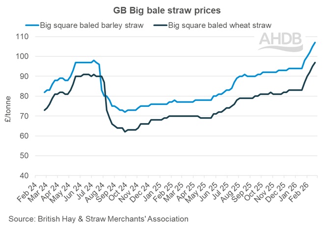 Line graph showing GB big bale straw weekly prices 22 February 2026.